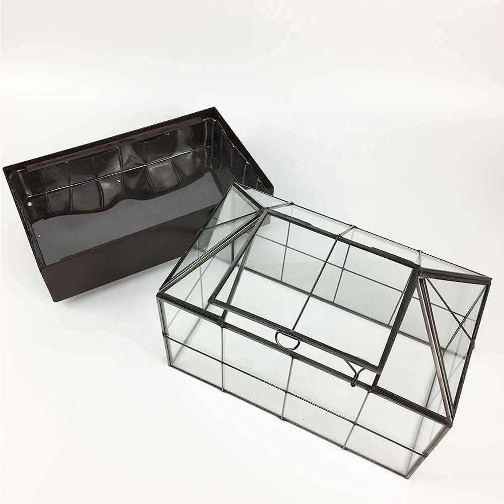 Tabletop Terrarium Kit Large With Lid and Tray