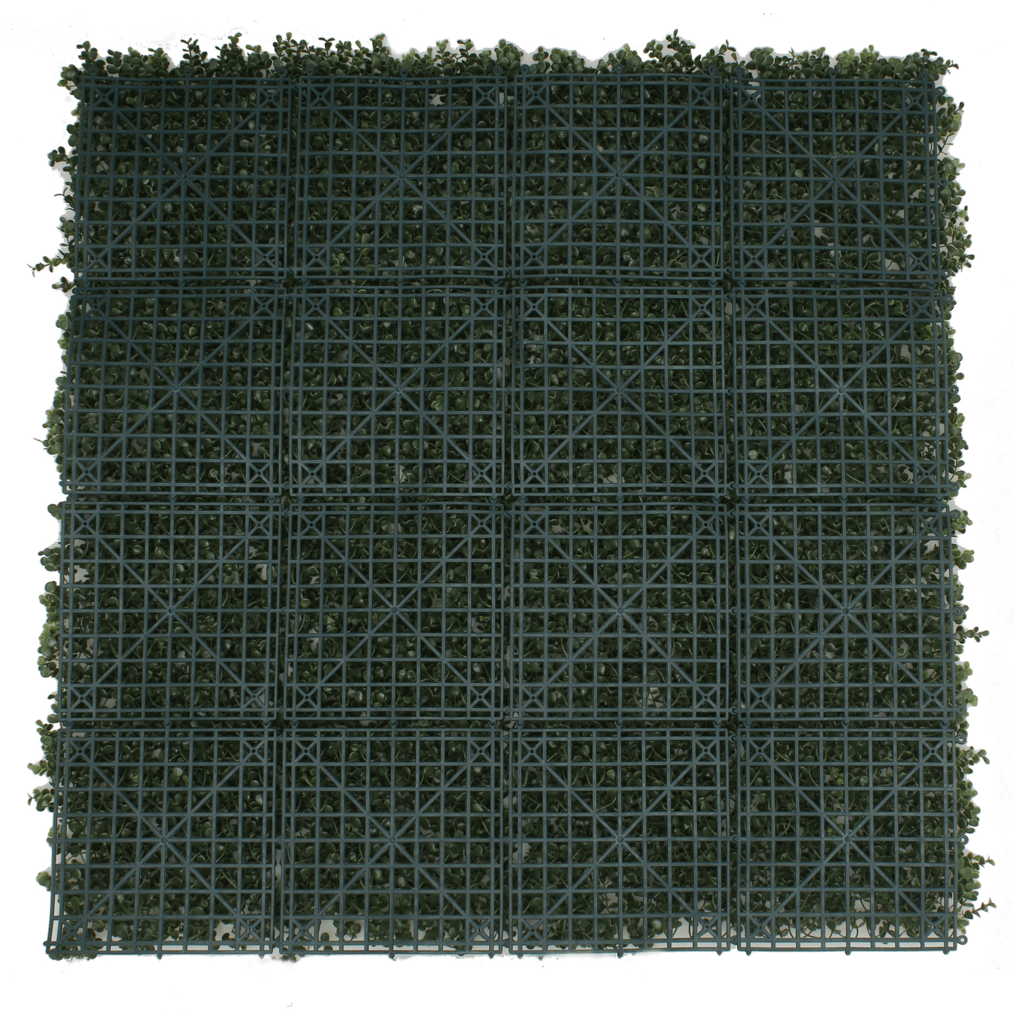 Sample Panel of Natural Artificial Boxwood Wall (Small Sample) Commercial Grade UV Resistant