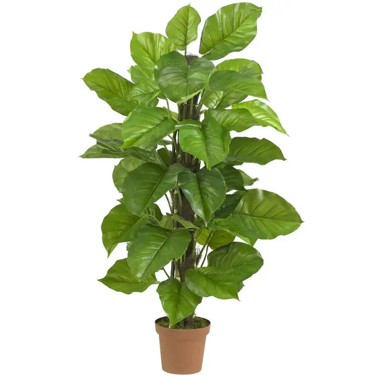 52" Large Leaf Philodendron Plant (Real Touch)