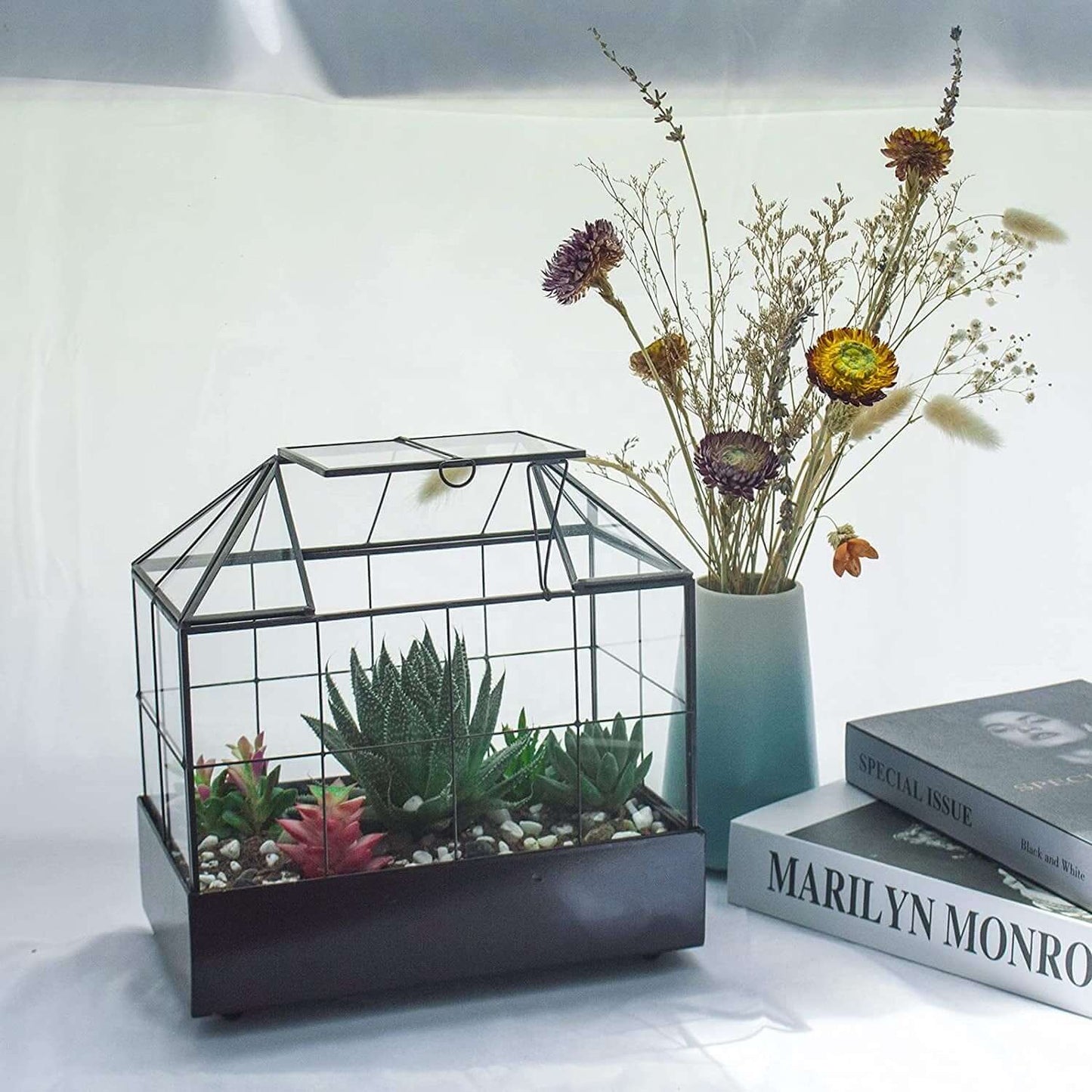 Tabletop Terrarium Kit Large With Lid and Tray