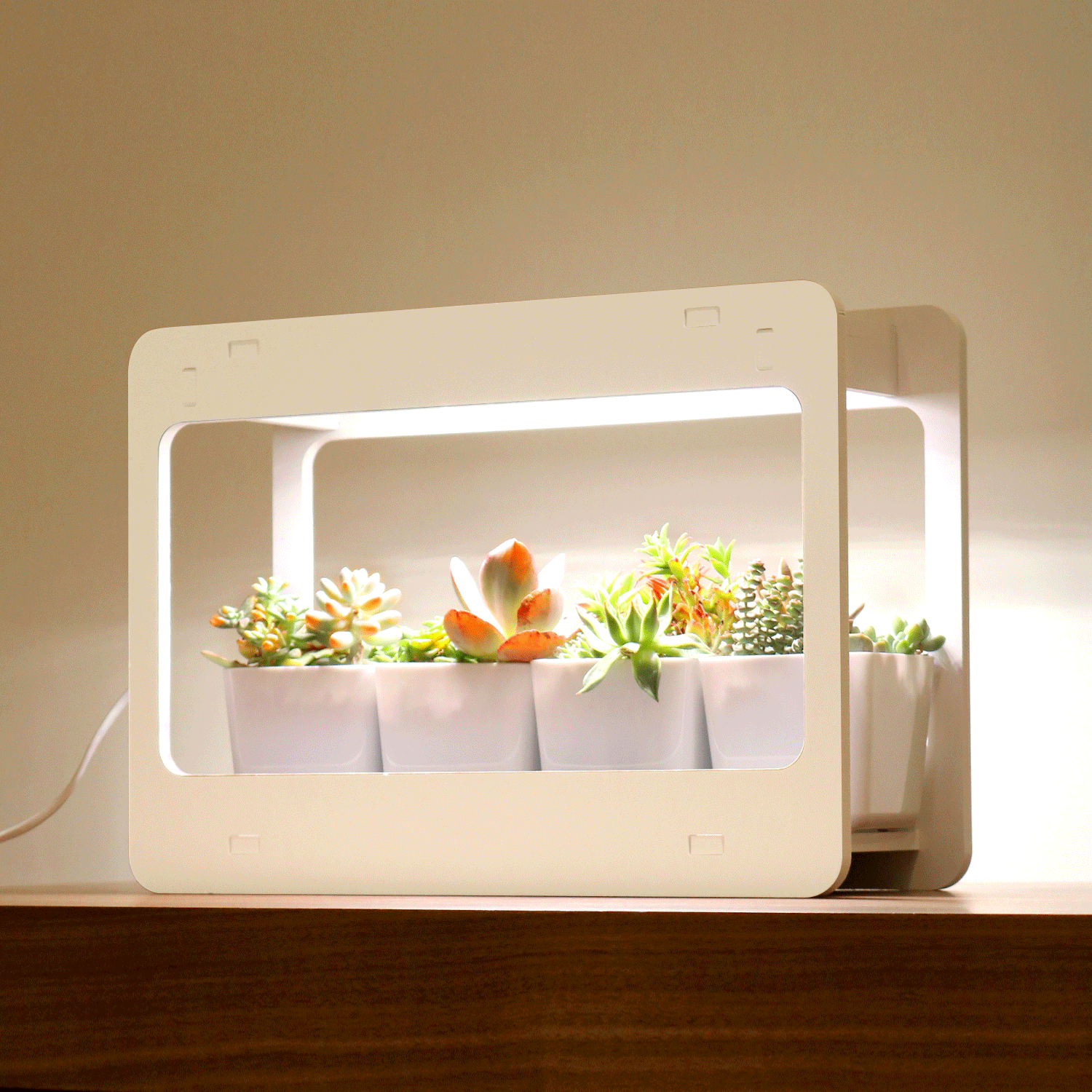 LED Mini Garden Grow Kit