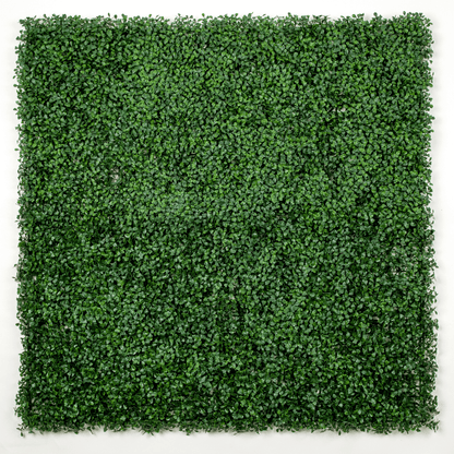 Dark Artificial Boxwood Wall 40" x 40" 11SQ FT Commercial Grade UV Resistant