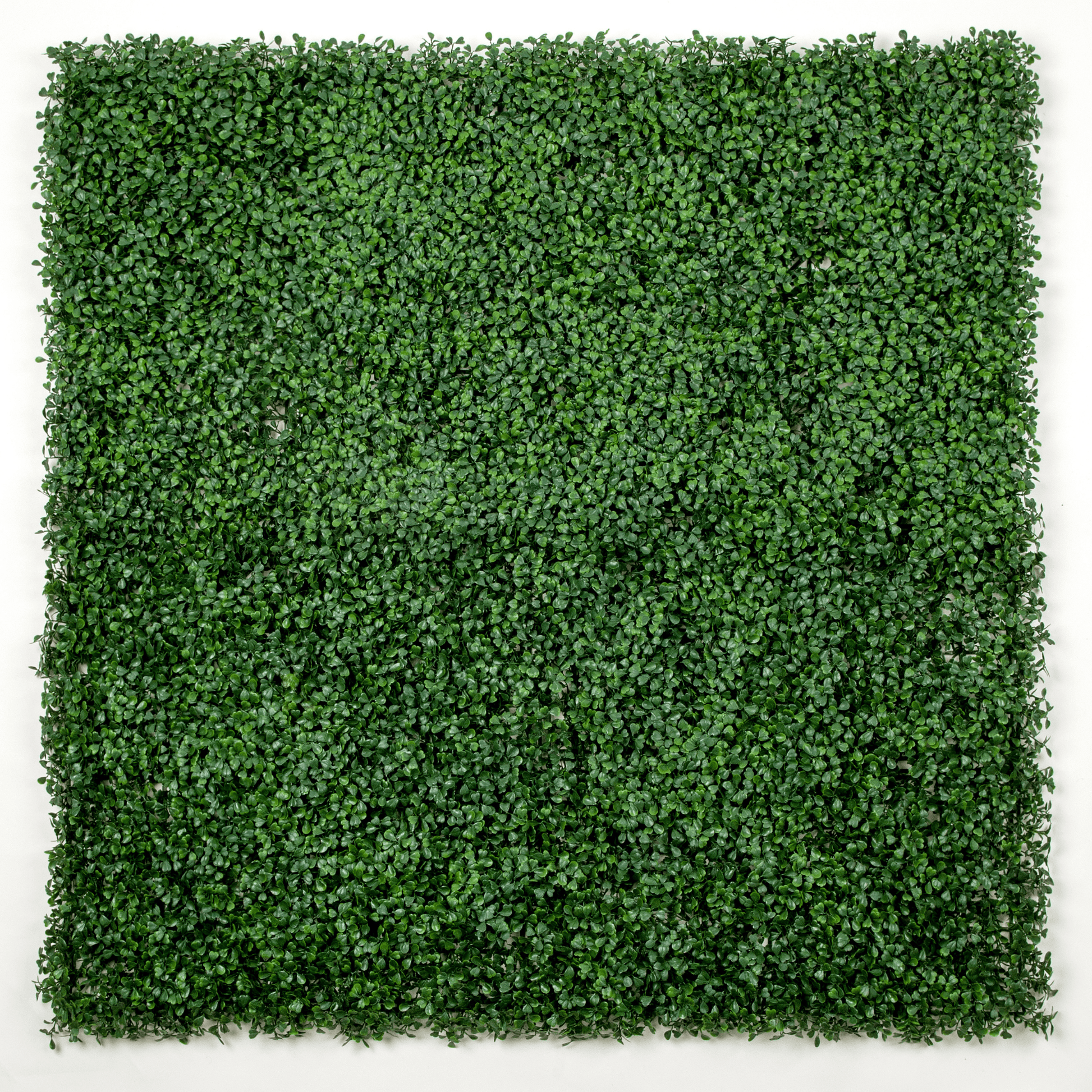 Dark Artificial Boxwood Wall (6 Pieces 40" x 40") 66 SQ FT Set Commercial Grade UV Resistant