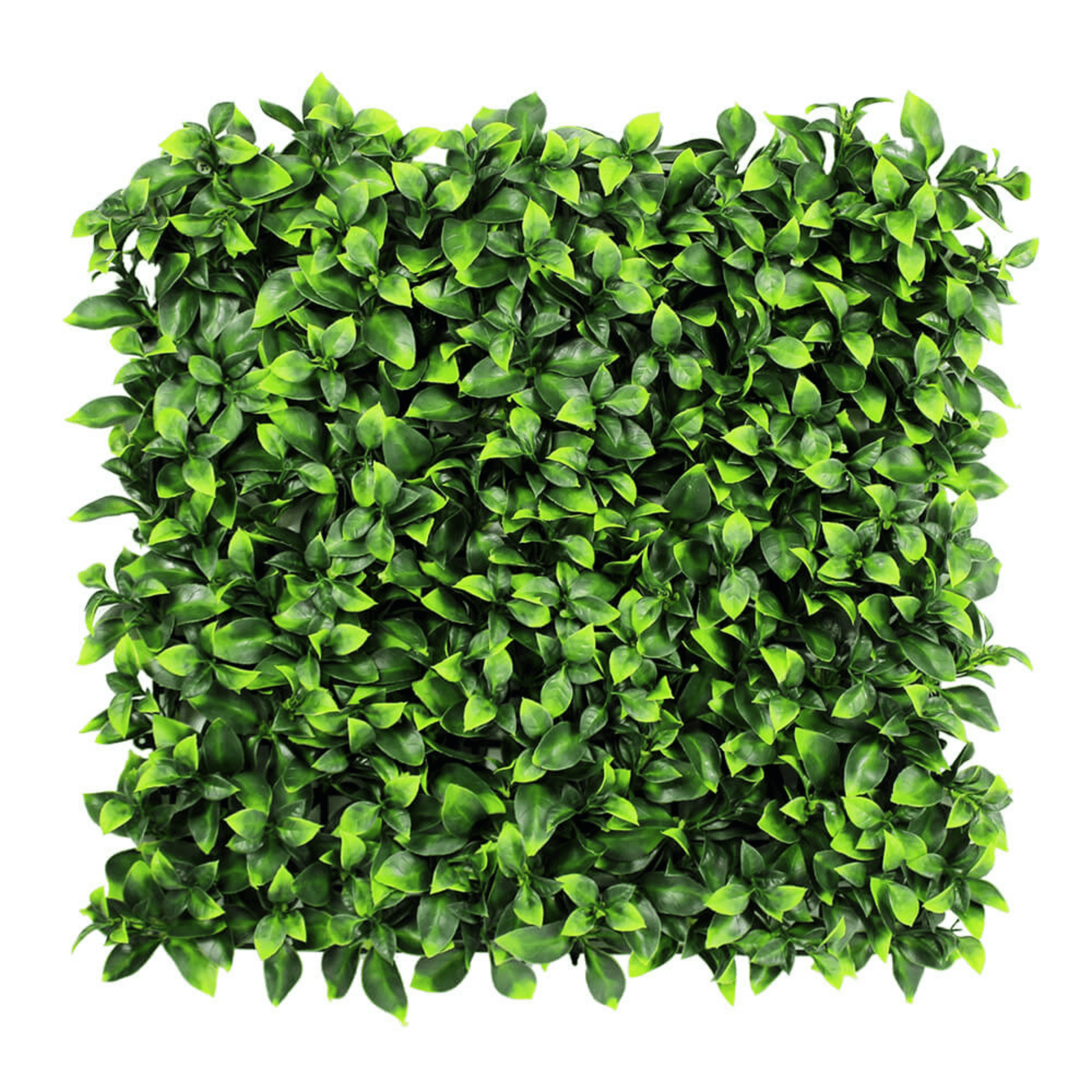 Sample Panel of Jasmine Artificial Green Wall (Small Sample) Commercial Grade UV Resistant