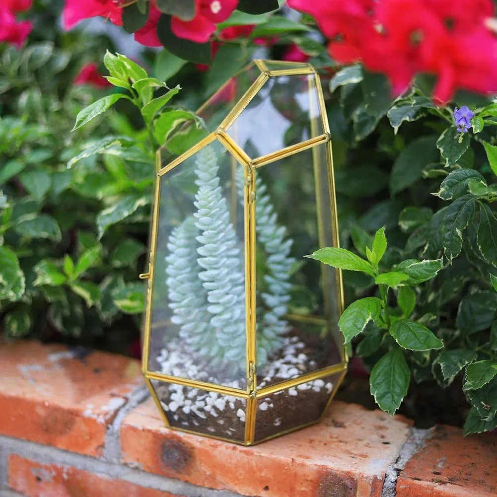 Handmade Cylindrical Glass Terrarium With Door