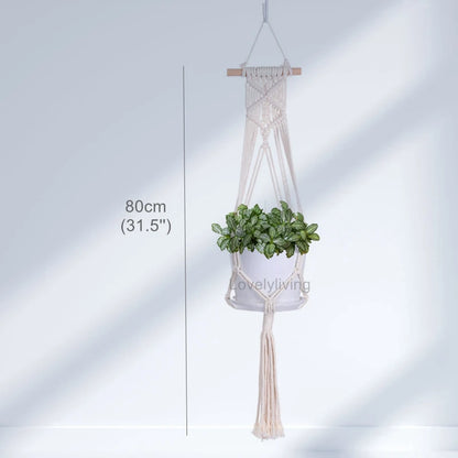 Macrame Hanging Planter