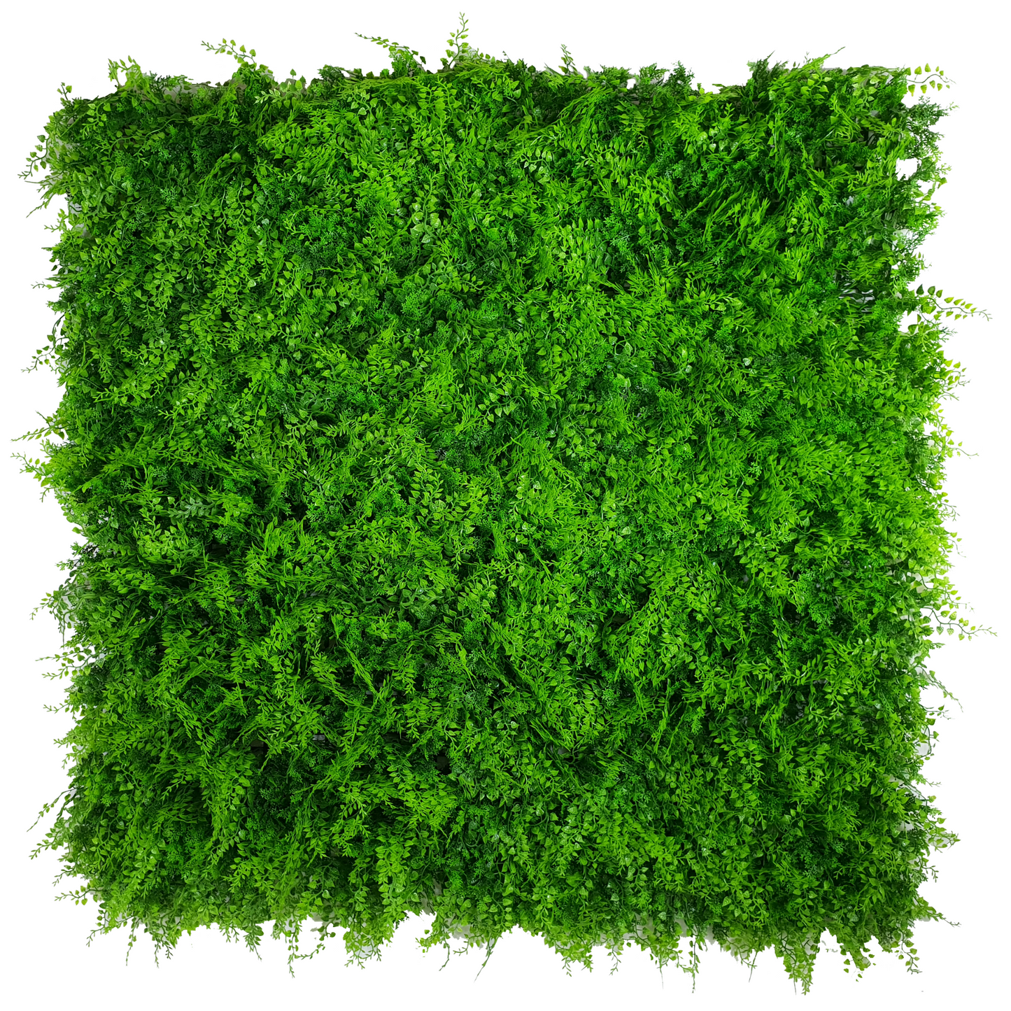 Lush Fern Artificial Green Wall 40" x 40" 11SQ FT Commercial Grade UV Resistant