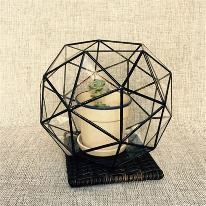 Geometric Glass Terrariums