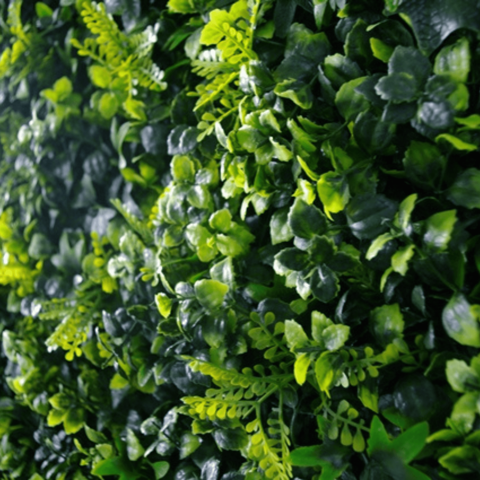 Premium Mixed Ivy Spring Sensation Artificial Green Wall 40" x 40" 11SQFT Commercial Grade UV Resistant