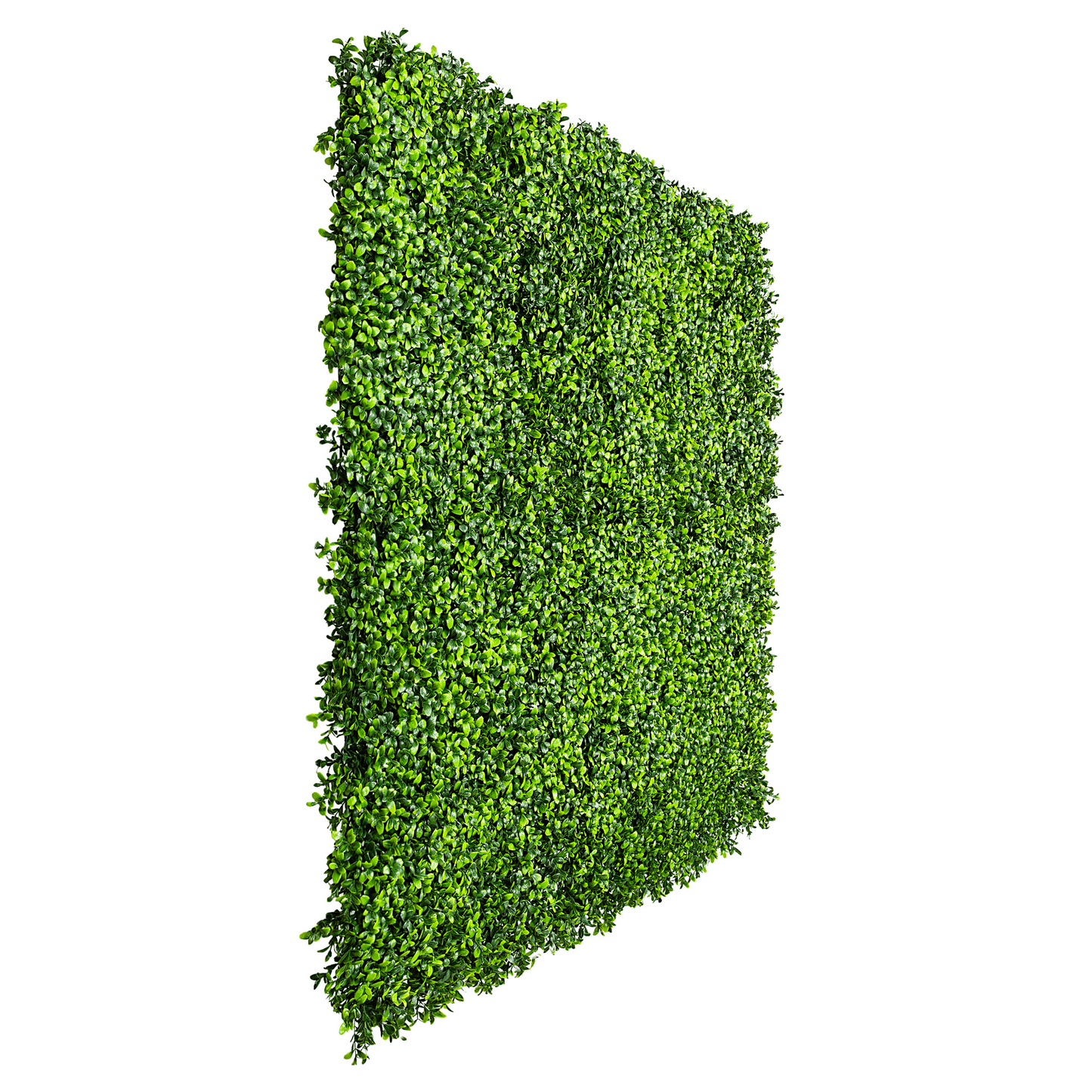 Premium Bright Artificial Boxwood Wall 40" x 40" 11SQ FT Commercial Grade UV Resistant