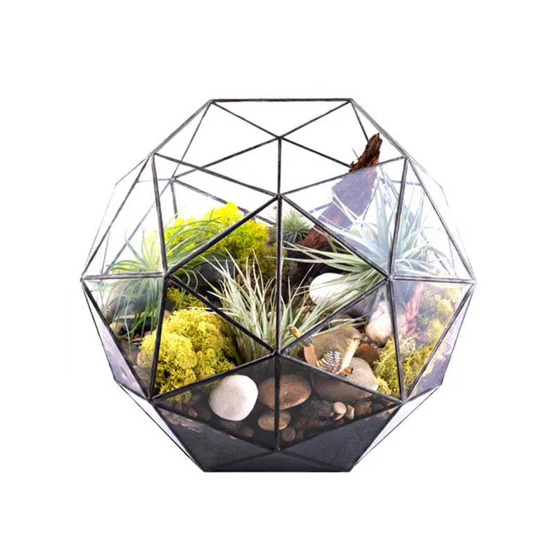 Geometric Glass Terrariums