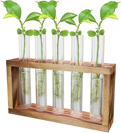 Glass Planter Propagation Station