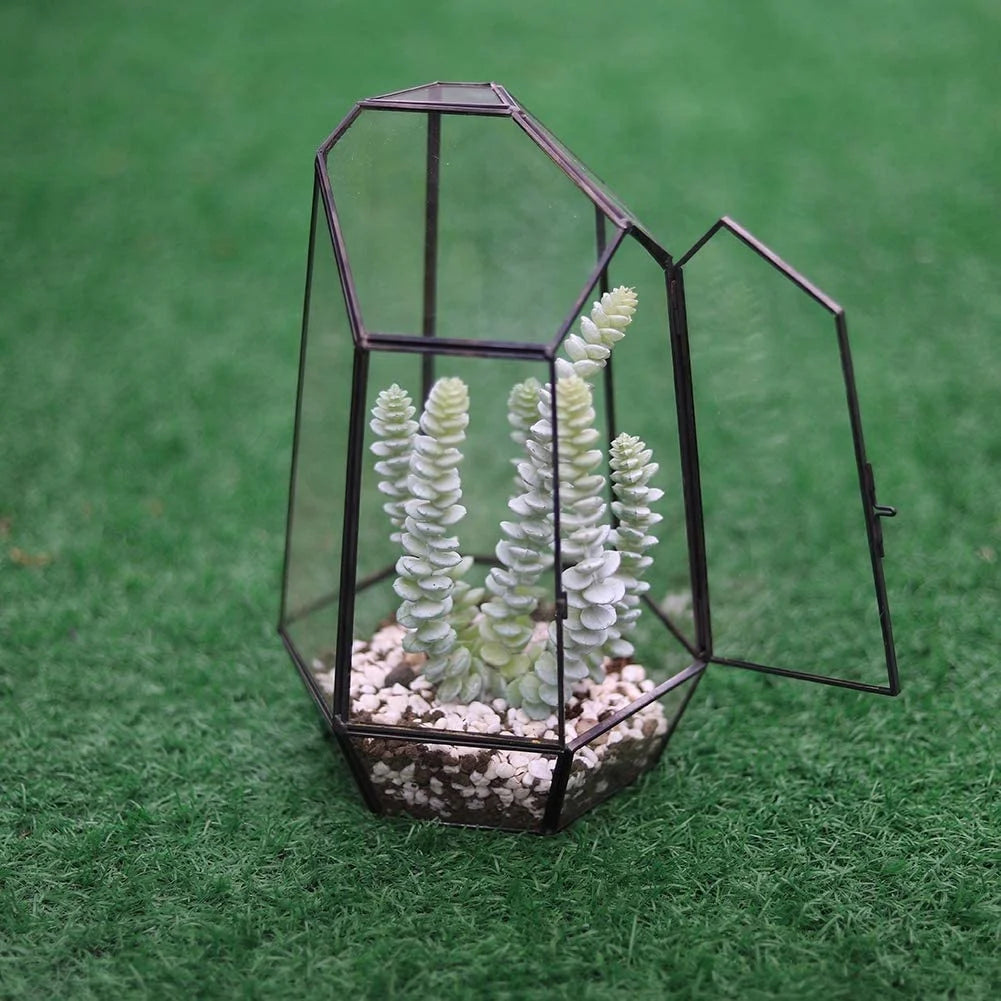 Handmade Cylindrical Glass Terrarium With Door