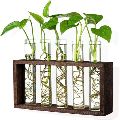 Glass Planter Propagation Station