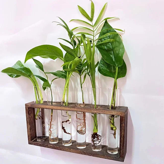 Glass Planter Propagation Station