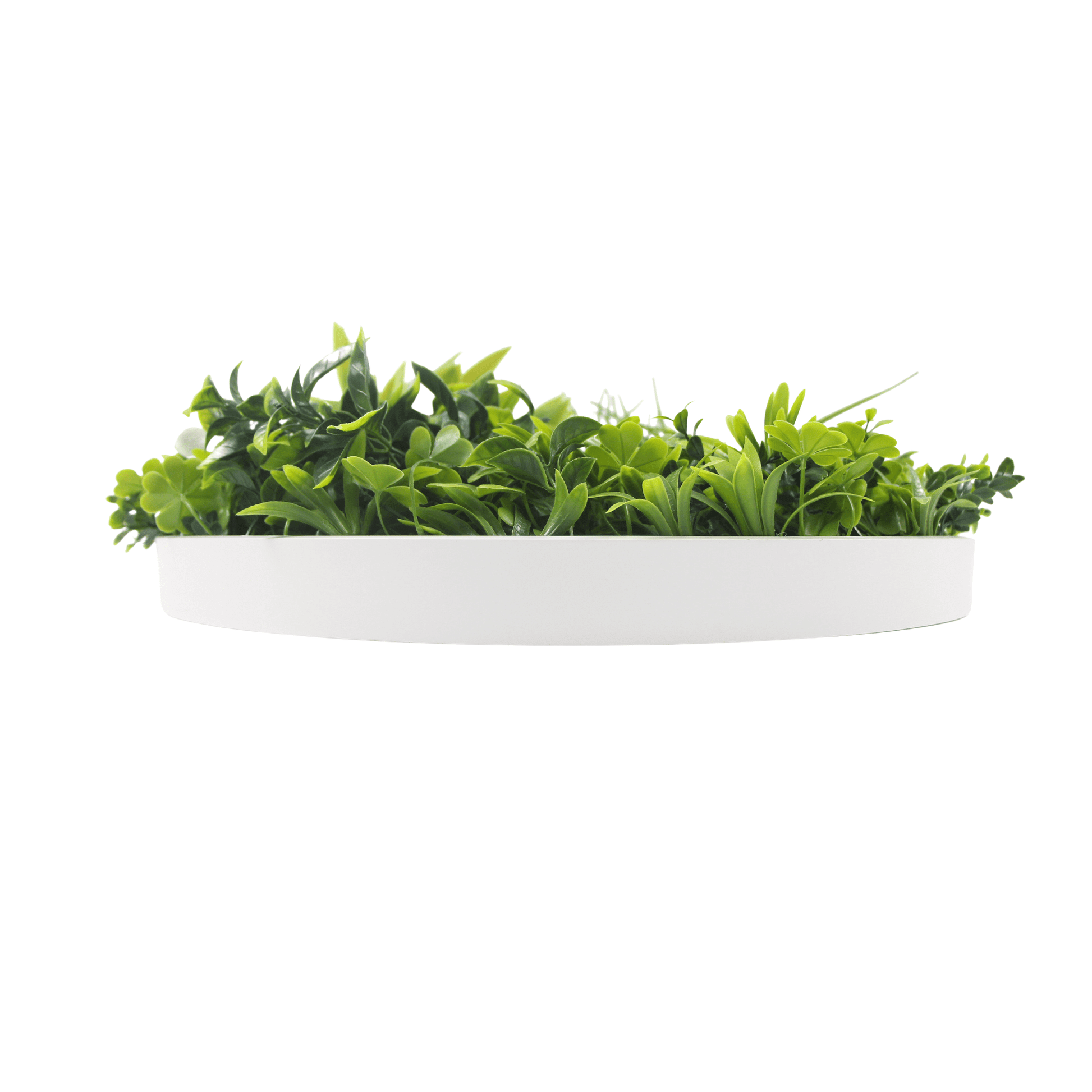 Luxury Artificial Green Wall Plant Wall Circle 30" White Frame UV Resistant