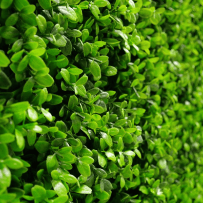 Premium Bright Artificial Boxwood Wall 40" x 40" 11SQ FT Commercial Grade UV Resistant