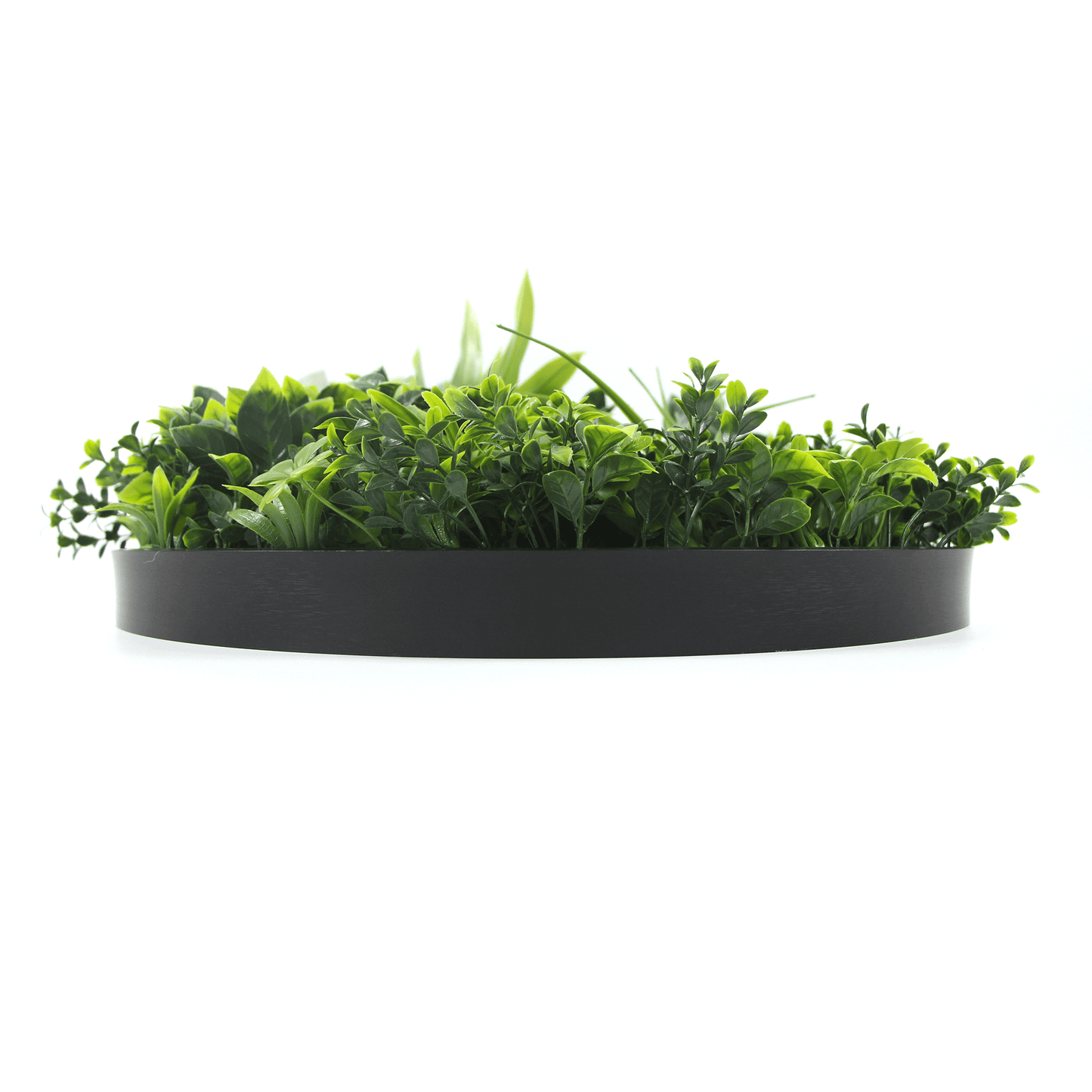 Luxury Artificial Green Wall Plant Wall Circle 30" Black Frame UV Resistant