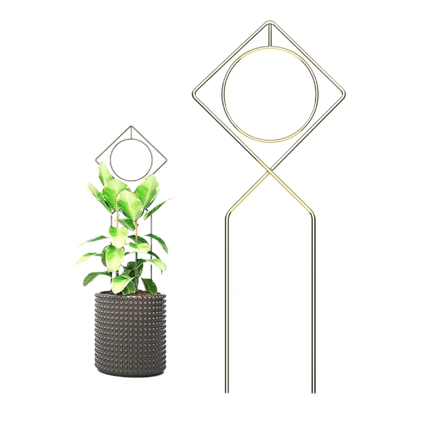 Metal Trellis Geometric Indoor Plant Support