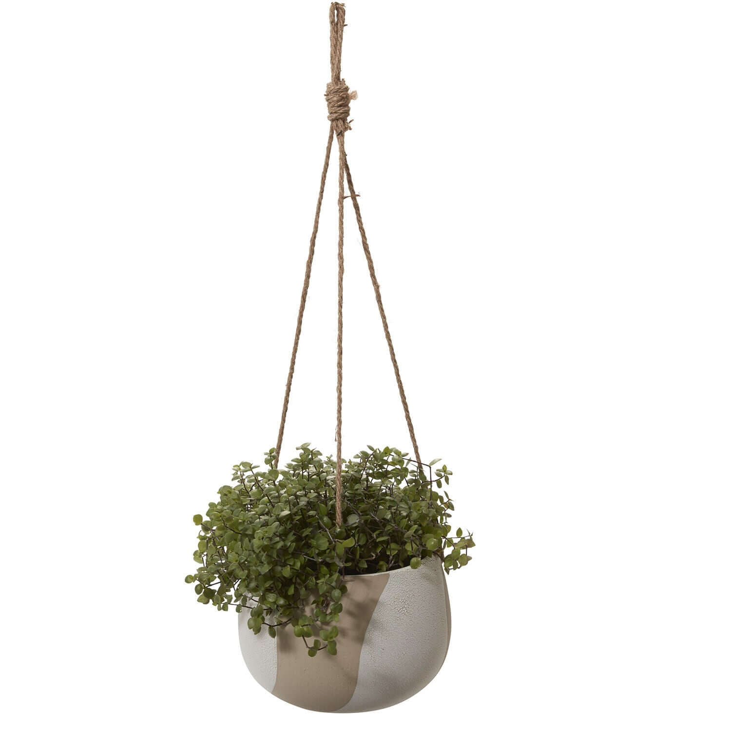 Calliope Hanging Pot