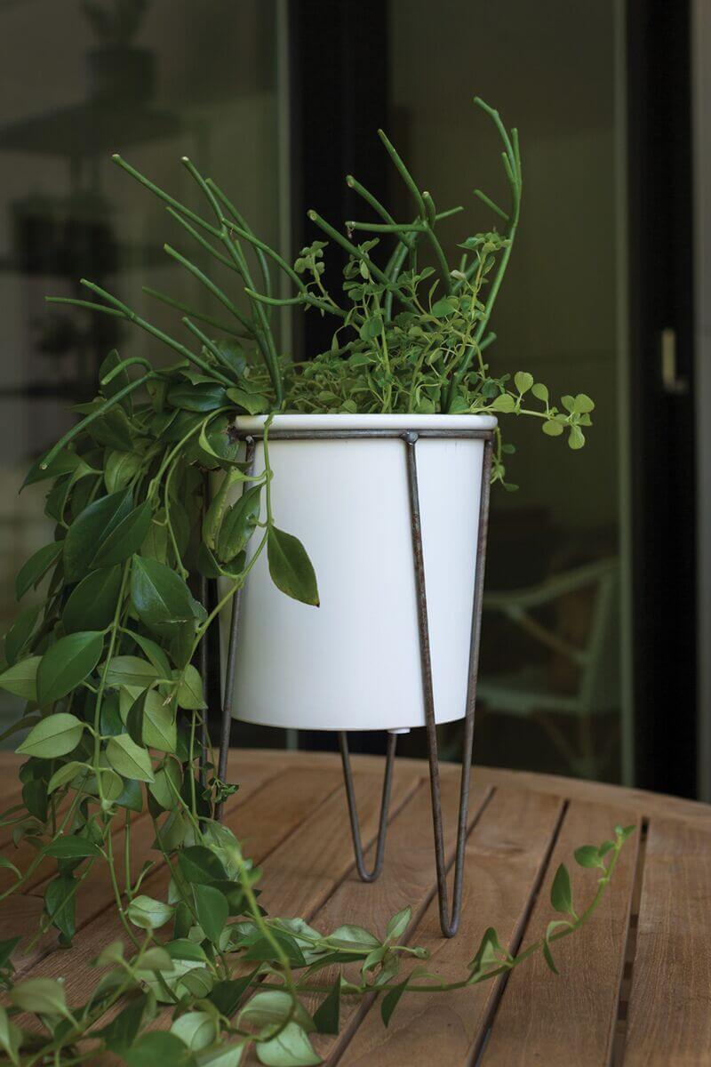 Cassa Plant Stand