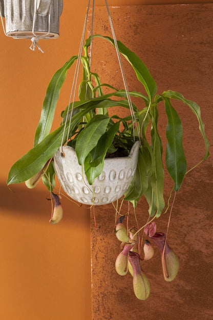 Cromwell Hanging Pot