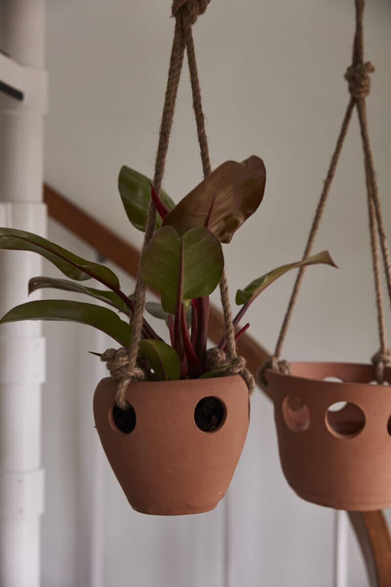 Serralles Hanging Pot