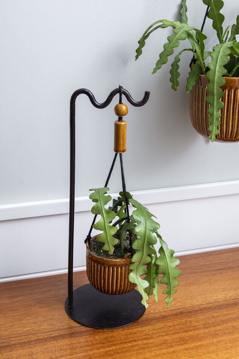 Irwin Hanging Pot (Set of 2)