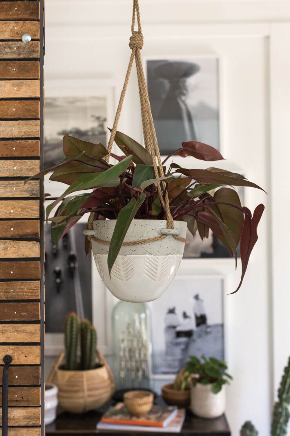 Hammock Hanging Pot