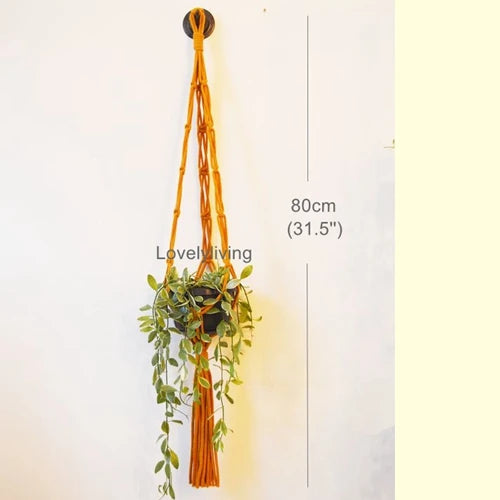 Macrame Hanging Planter