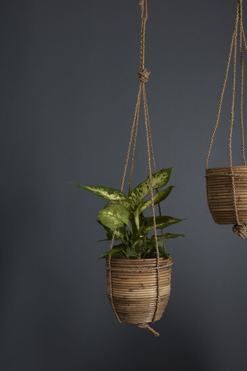 Lomita Hanging Pot