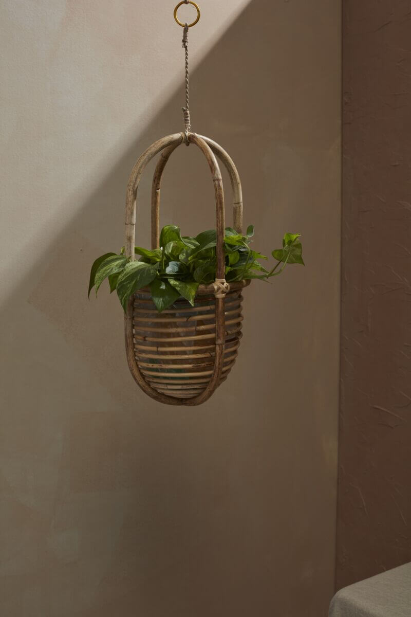 Ordesa Hanging Basket