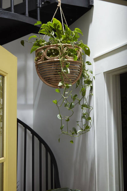 Ordesa Hanging Basket