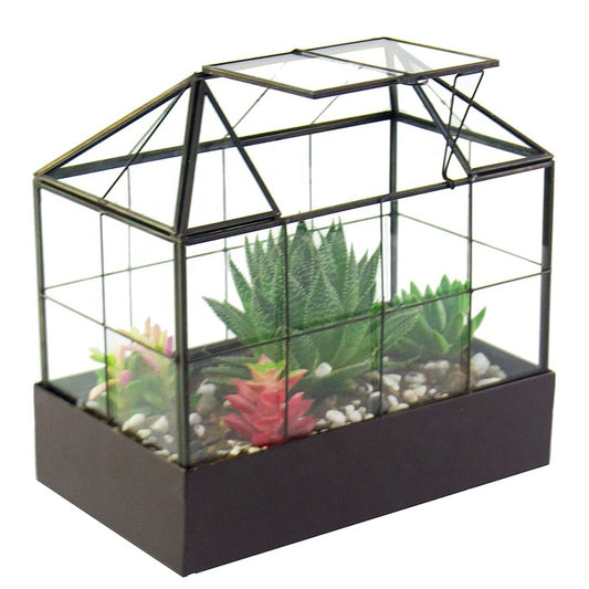 Tabletop Terrarium Kit Large With Lid and Tray