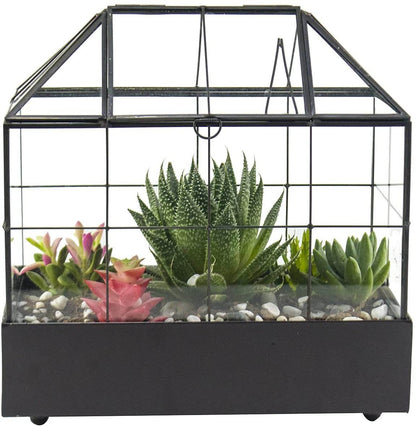 Tabletop Terrarium Kit Large With Lid and Tray