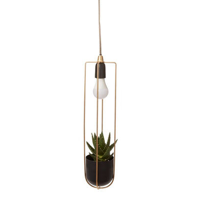 Kol Hanging Planter with Grow Light