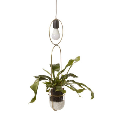 Kol Hanging Planter with Grow Light