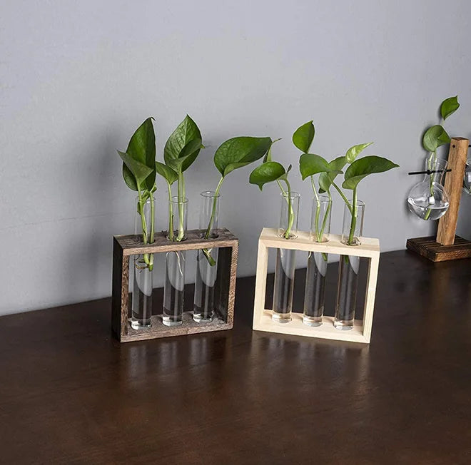 Glass Planter Propagation Station