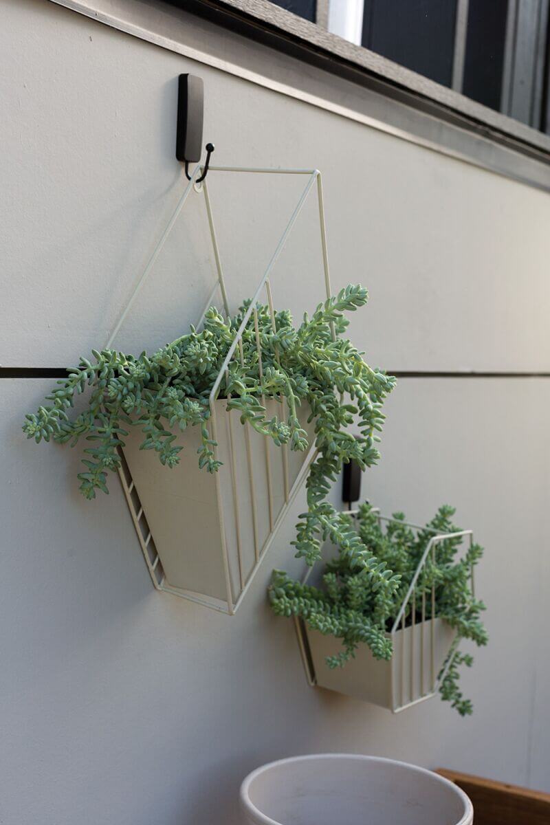 Tulane Hanging Planter