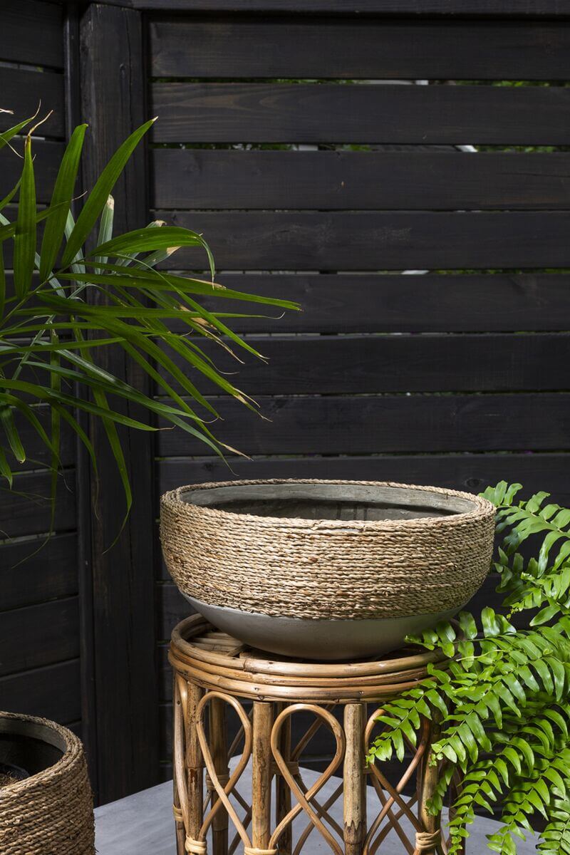 Reed Planter