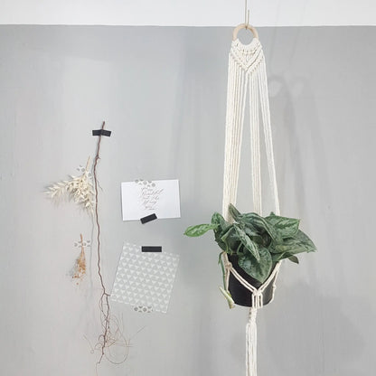 Macrame Hanging Planter