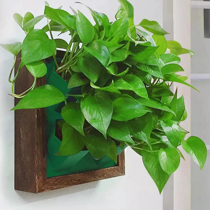 Hanging Pot Wooden Box Frame Vertical Garden