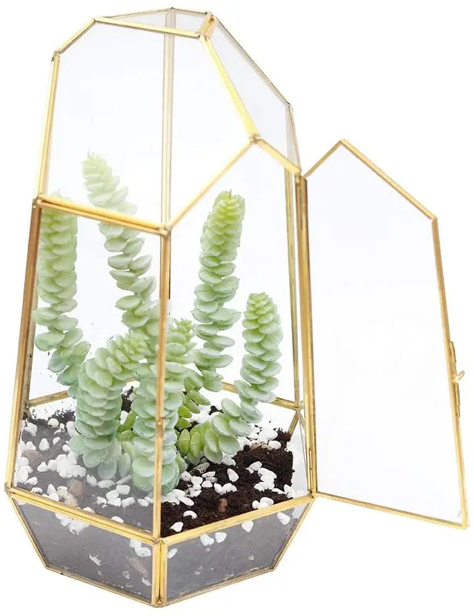 Handmade Cylindrical Glass Terrarium With Door