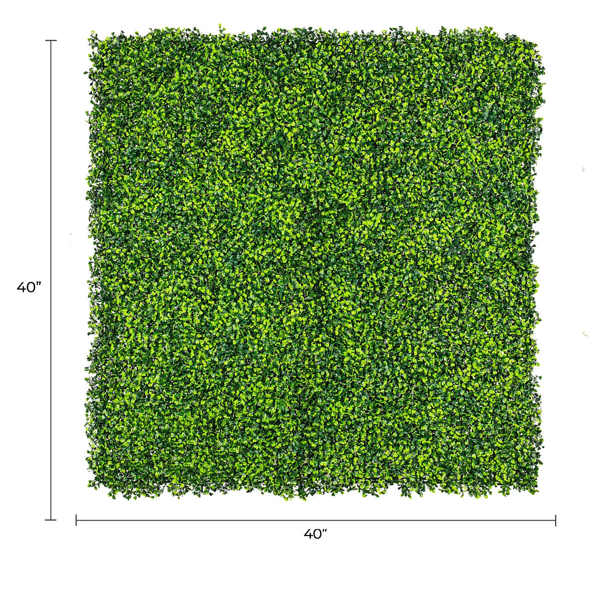 Artificial Mixed Boxwood Hedge Panel Wall 40" x 40" 11SQ FT Commercial Grade UV Resistant