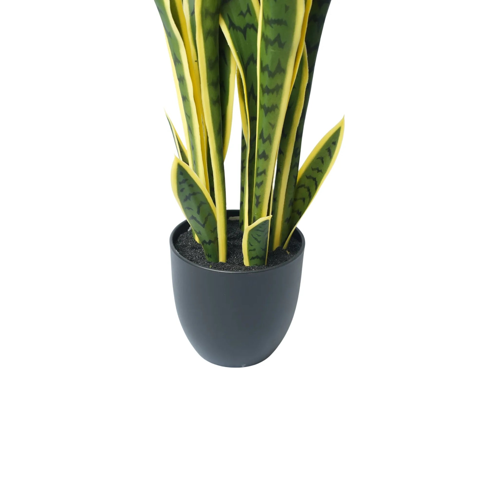 Set of 4 Artificial Yellow Tongue Plants (Snake Plant) - UV Resistant (Clearance)