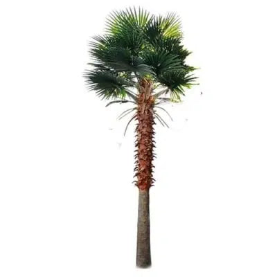 Tall Artificial Mexican Fan Palm Tree (13ft - 23ft) UV Resistant (10-12 Week Back Order)