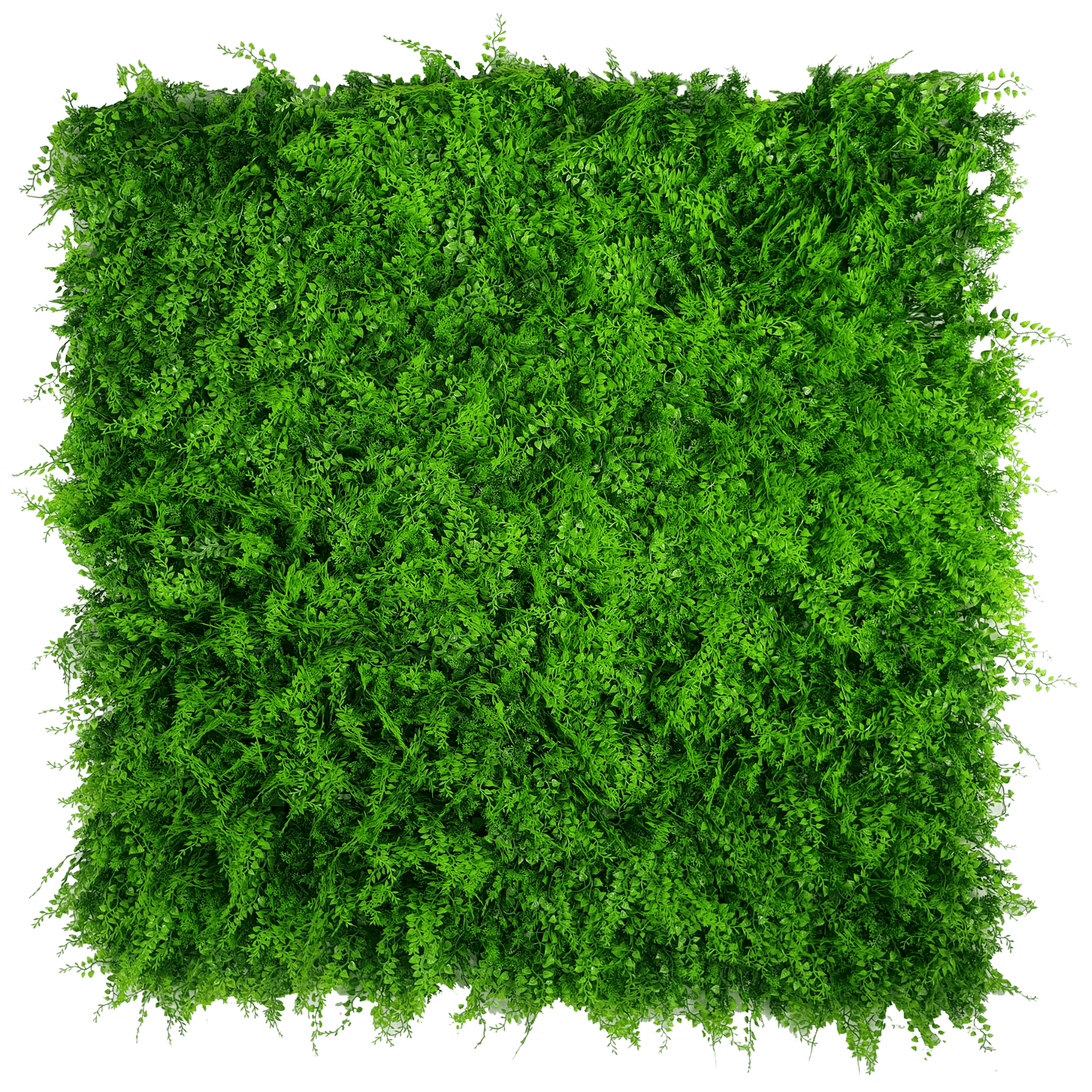 Sample Panel of Lush Fern Artificial Green Wall (Small Sample) Commercial Grade UV Resistant