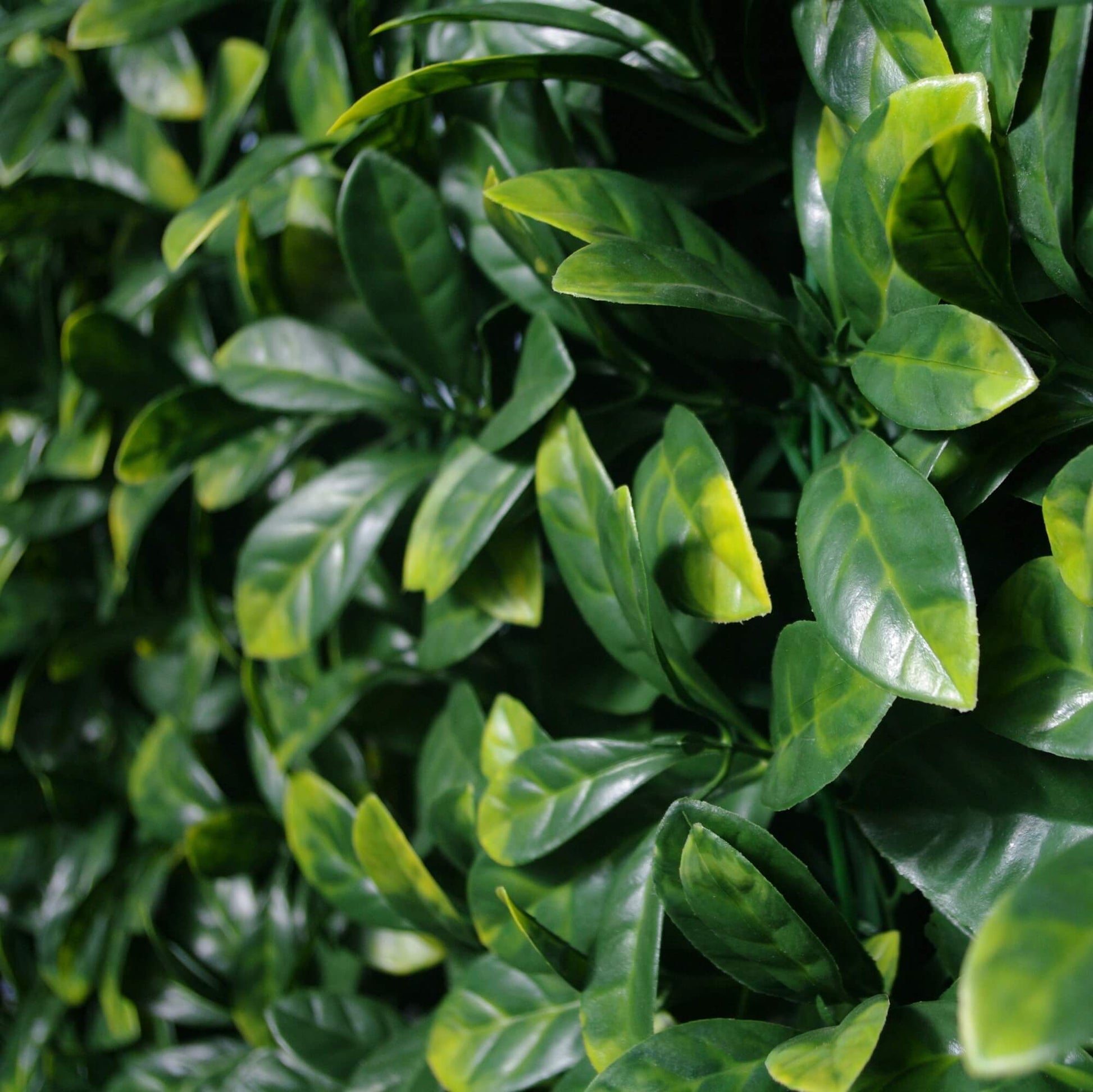 Premium Laurel Artificial Vertical Garden Wall 40" x 40" 11SQ FT Commercial Grade UV Resistant