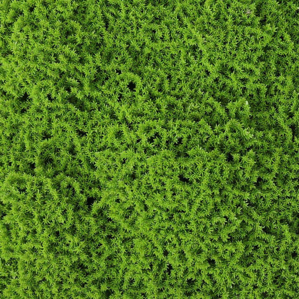 Faux Evergreen Moss Mat 33 SQ FT UV Resistant Commercial Grade UV Resistant