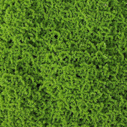 Faux Evergreen Moss Mat 33 SQ FT UV Resistant Commercial Grade UV Resistant